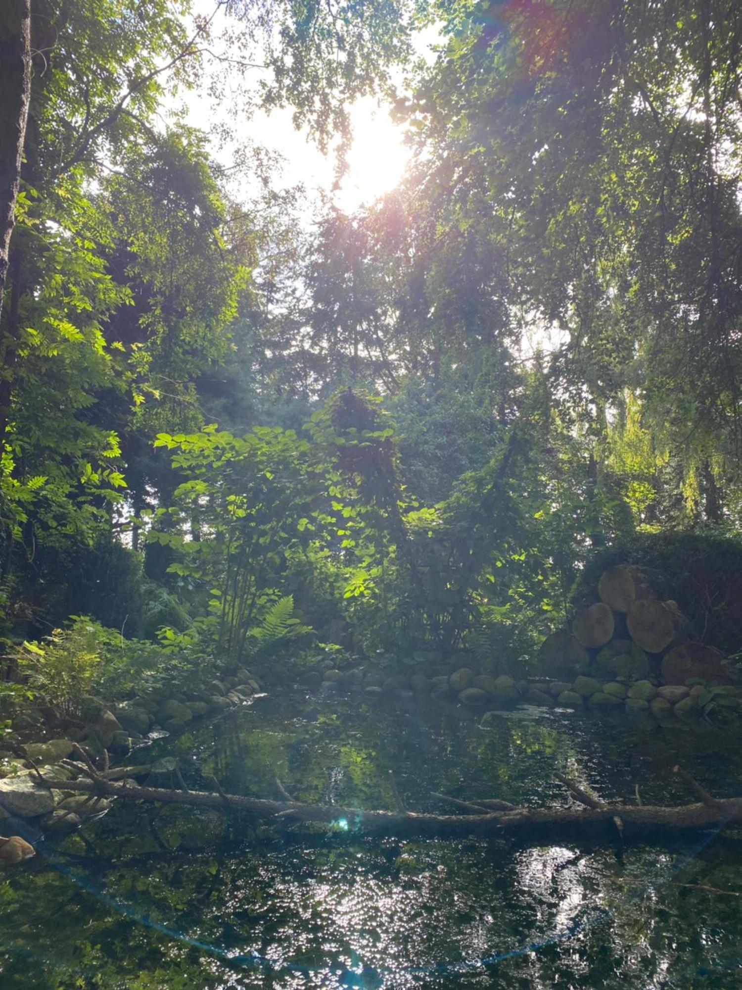Ferienwohnung Auf Einem Resthof Zentral Gelegen Mit Viel Natur Und Tieren Rendswuhren Exterior photo